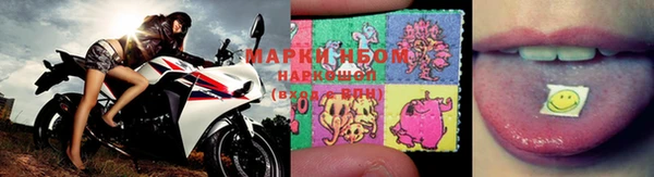 твердый Абаза