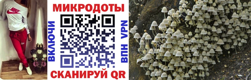 Галлюциногенные грибы мицелий  купить закладку  Фрязино 